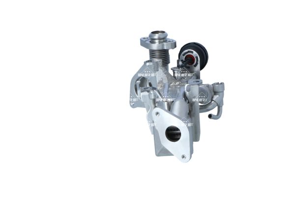NRF COOLER EGR