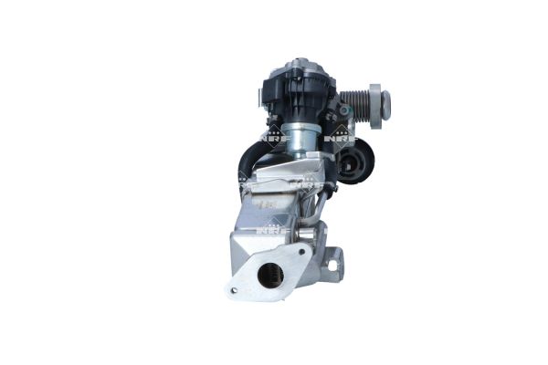 NRF MODULO EGR