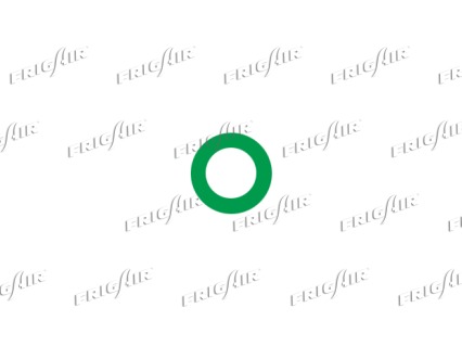 GUARNIZIONI-O-RING