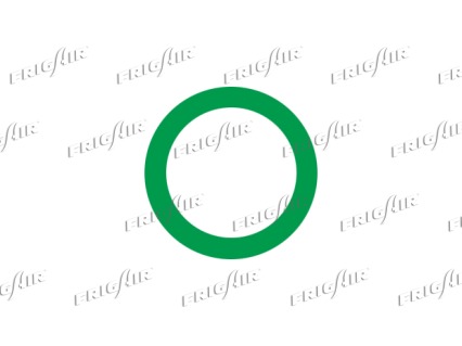 GUARNIZIONI-O-RING