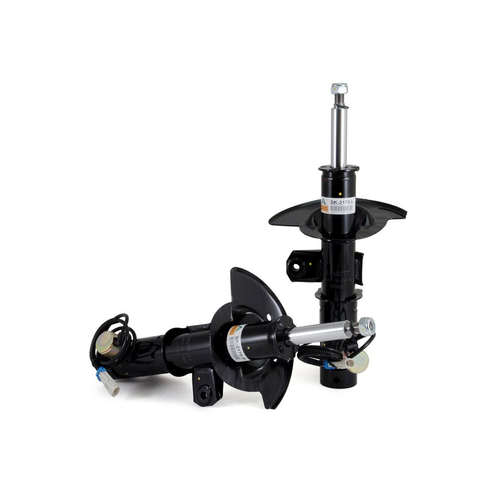 Ammortizzatore ARNOTT SK-2178