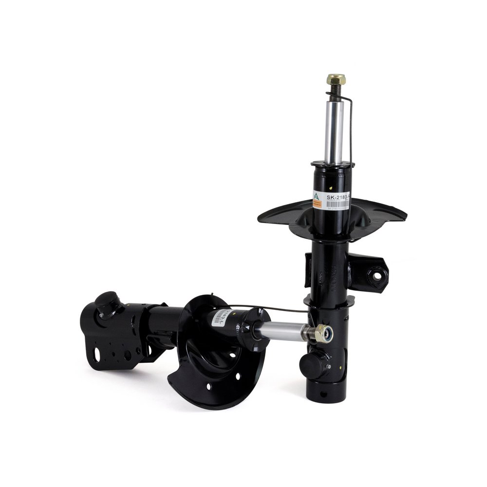 Ammortizzatore ARNOTT SK-2183