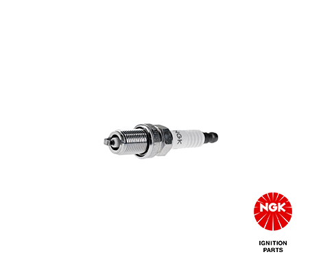 Candela accensione NGK 4930