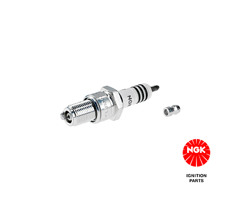 Candela accensione NGK 3981