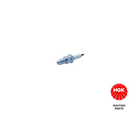 Candela accensione NGK 3377