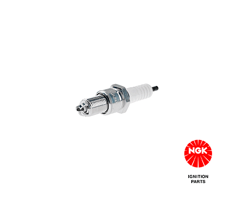 Candela accensione NGK 3172