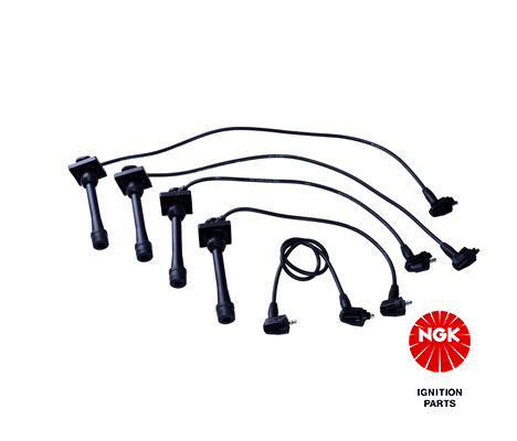 Kit cavi accensione NGK 9167