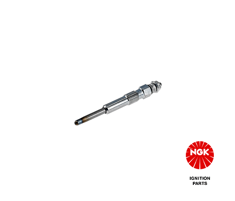 Candeletta NGK 1009