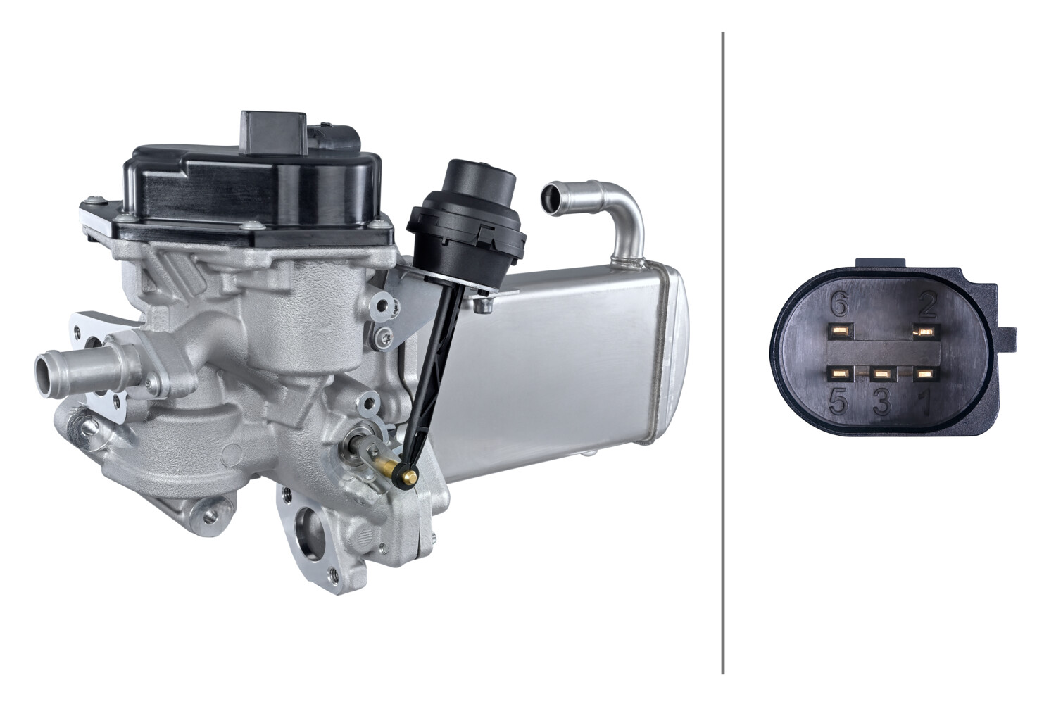 MODULO EGR