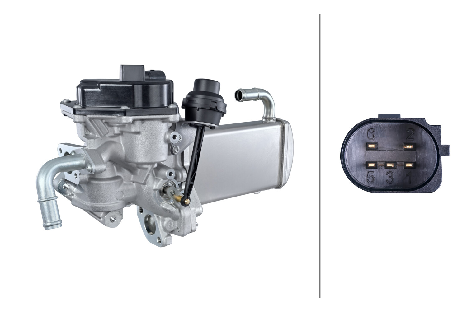 MODULO EGR