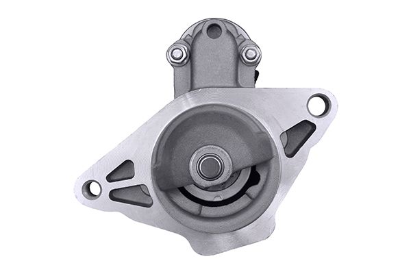 MOTORINO D