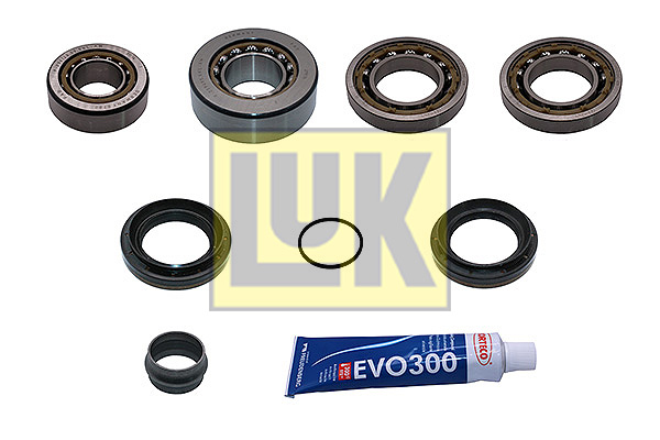 Kit riparazione, differenziale LUK 462039810