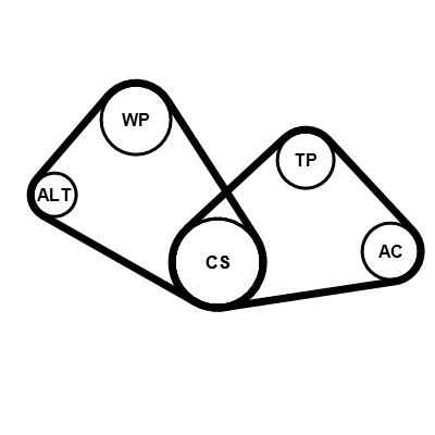Kit cinghie poly-v CONTITECH 4PK805K1