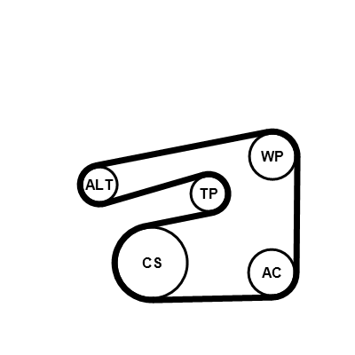 Kit cinghie poly-v CONTITECH 5PK1546K1