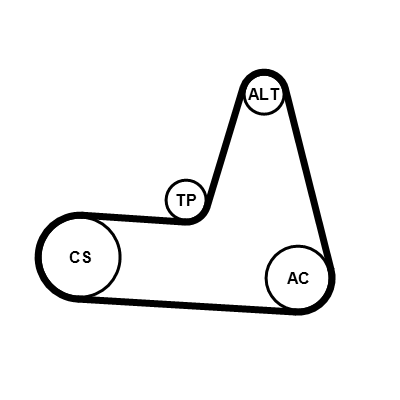 Kit cinghie poly-v CONTITECH 6PK1173K3