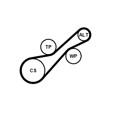 Kit cinghie poly-v CONTITECH 6PK1205K2