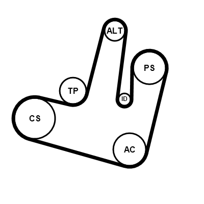 Kit cinghie poly-v CONTITECH 6PK1264K1