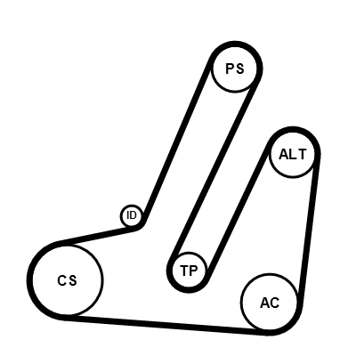 Kit cinghie poly-v CONTITECH 6PK869K1