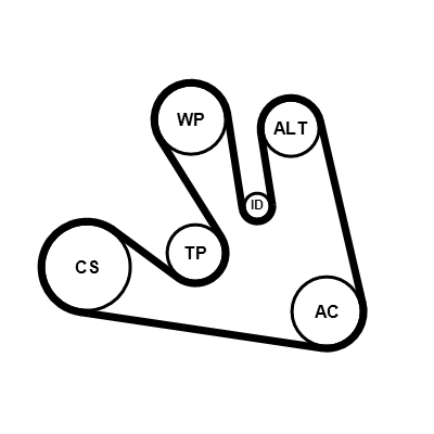 Kit cinghie poly-v CONTITECH 7PK1675K1