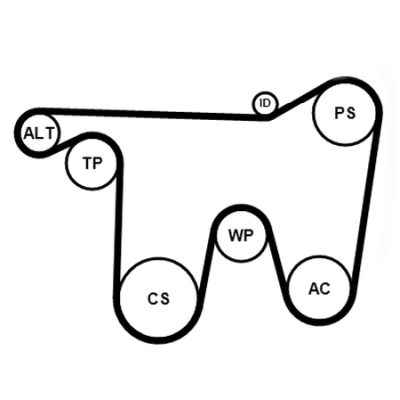 Kit cinghie poly-v CONTITECH 7PK1867K1