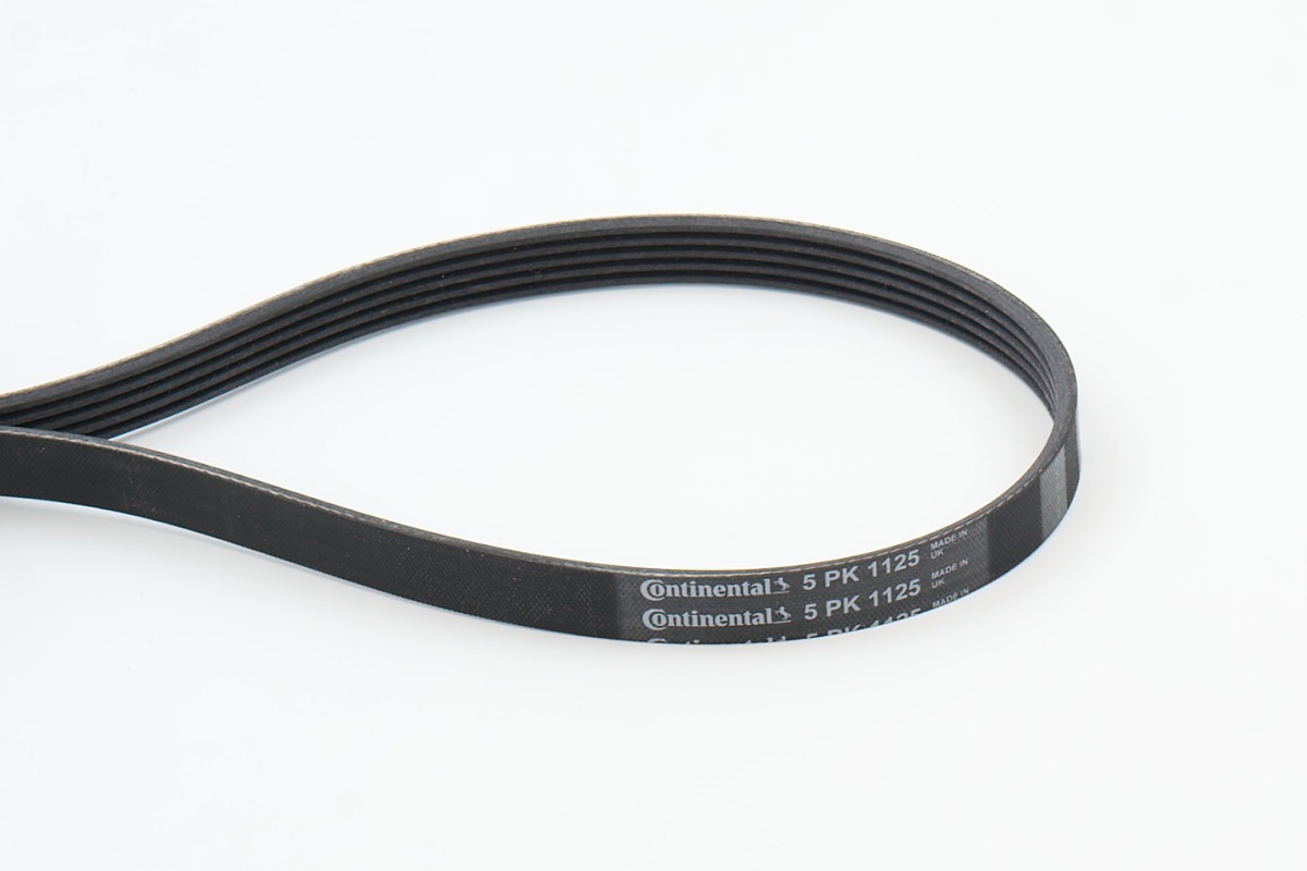 CONTITECH CINGHIA PV (5^)