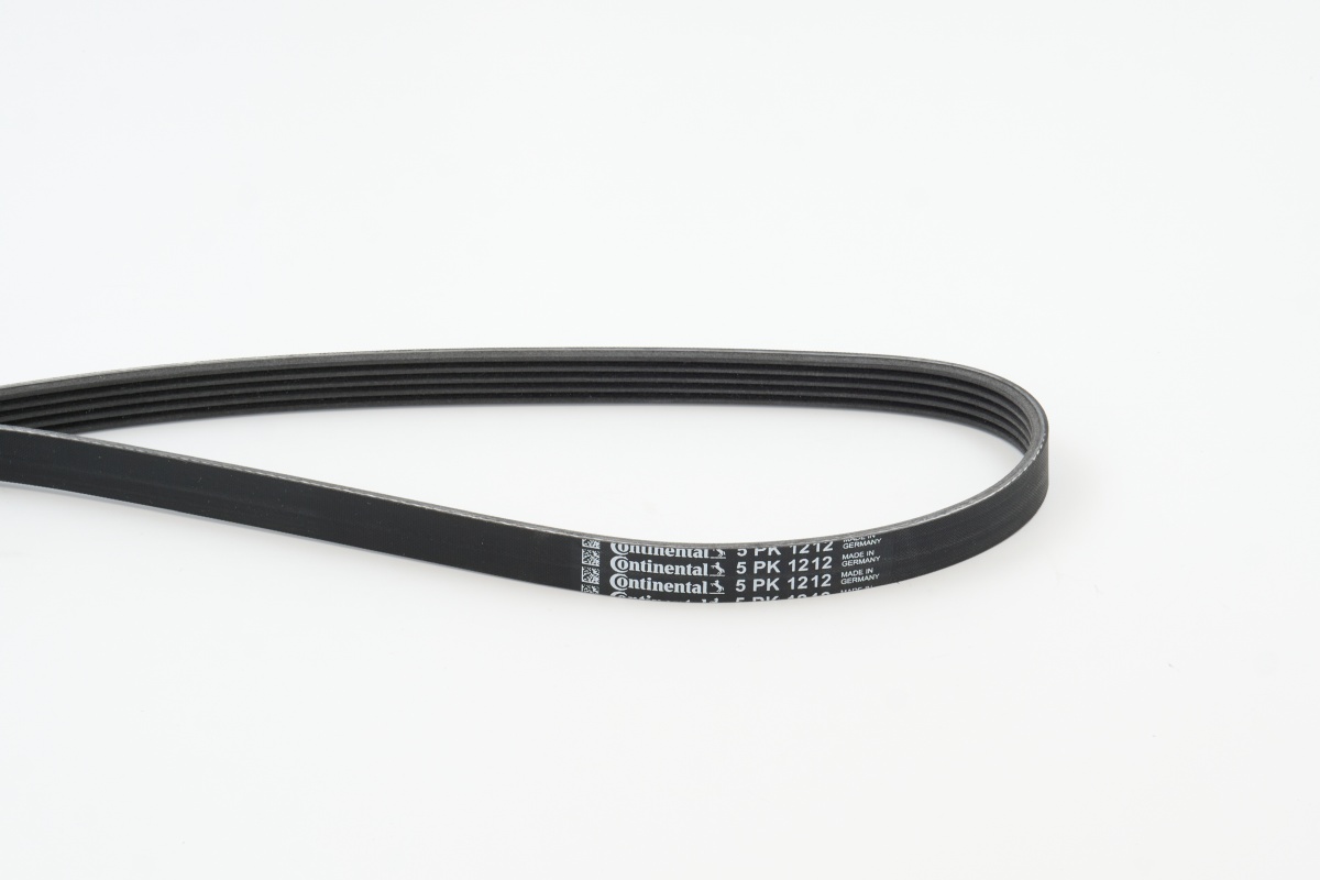 CONTITECH CINGHIA PV (5^)