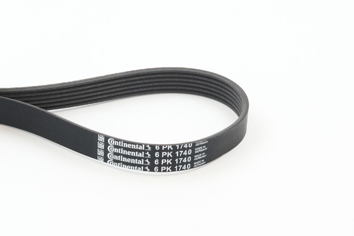 CONTITECH CINGHIA PV (5^)