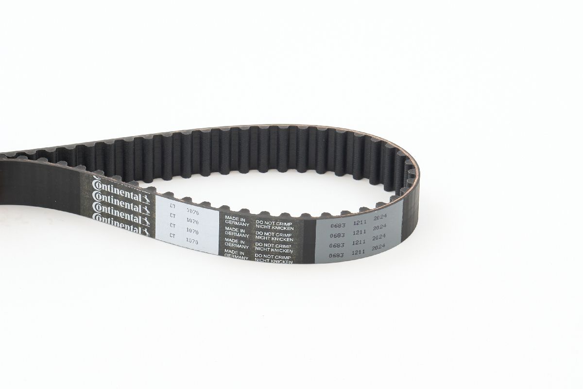 CONTITECH CINGHIA DISTRIBUZIONE (5^)