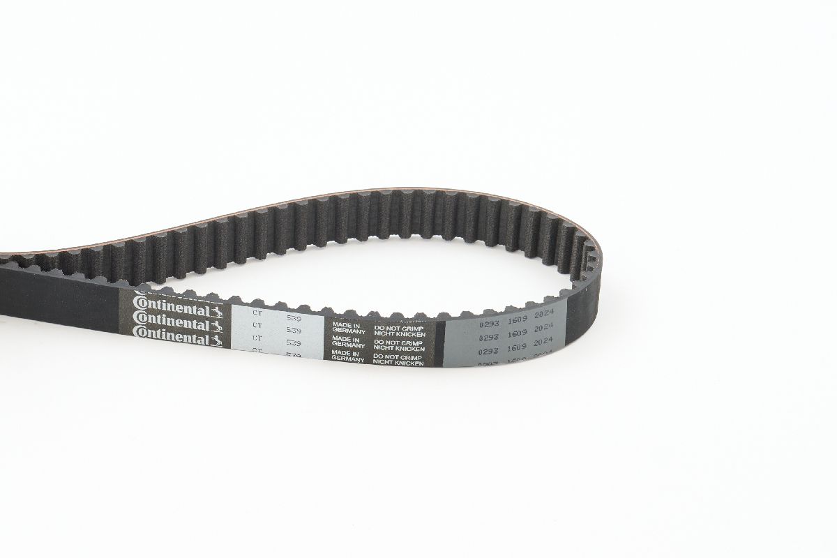 CINGHIA DISTRIB.AUDI 100 2.0 10V