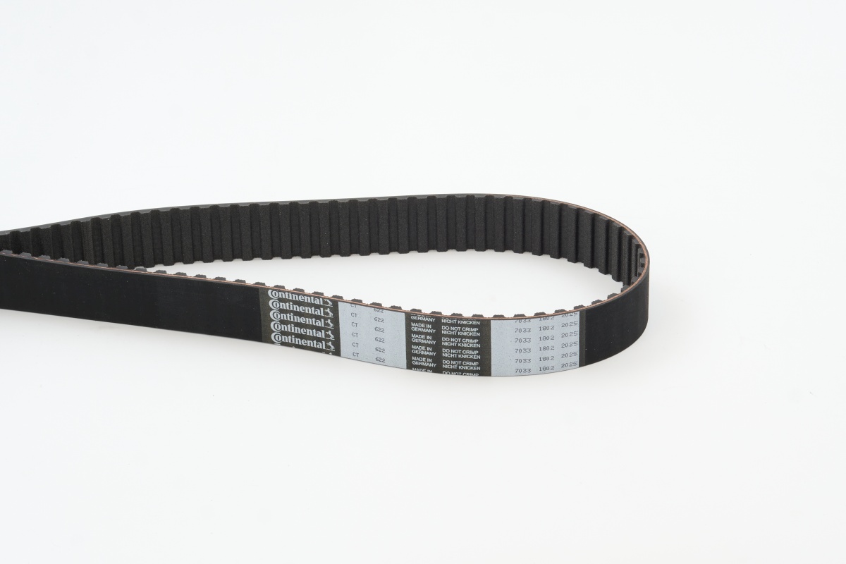 CONTITECH CINGHIA DISTRIBUZIONE (5^)