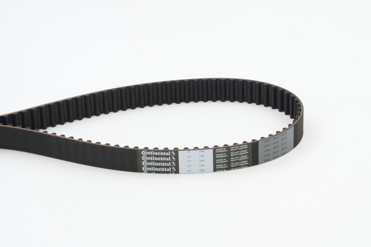 CONTITECH CINGHIA DISTRIBUZIONE (5^)