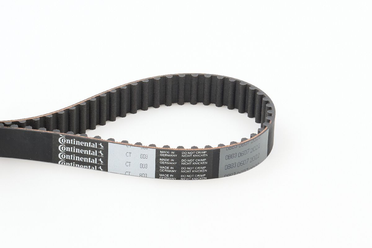 CONTITECH CINGHIA DISTRIBUZIONE (5^)