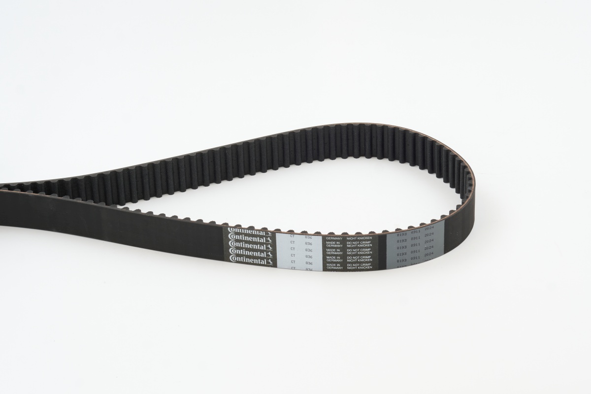 CONTITECH CINGHIA DISTRIBUZIONE (5^)