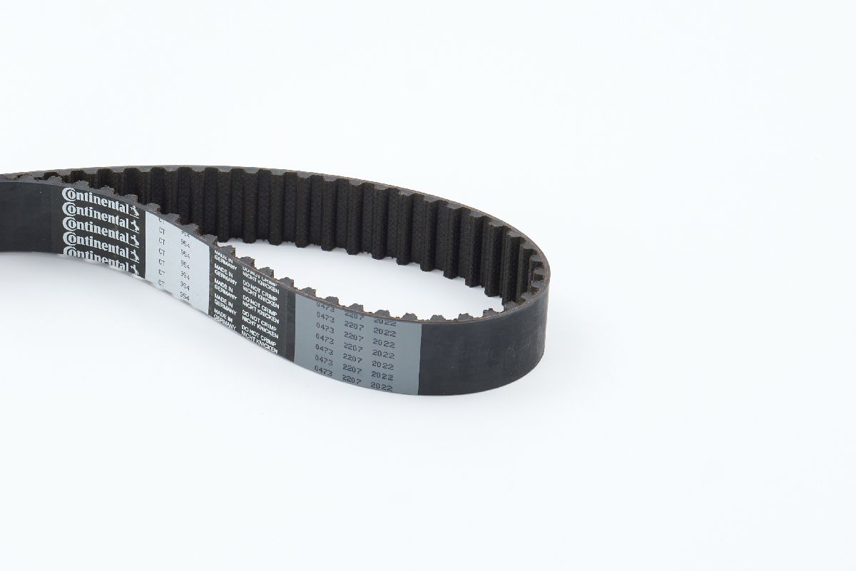 CONTITECH CINGHIA DISTRIBUZIONE (5^)