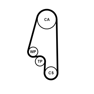 CONTITECH CINGHIA DISTRIBUZIONE (5^)