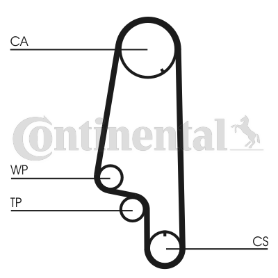 CONTITECH CINGHIA DISTRIBUZIONE (5^)