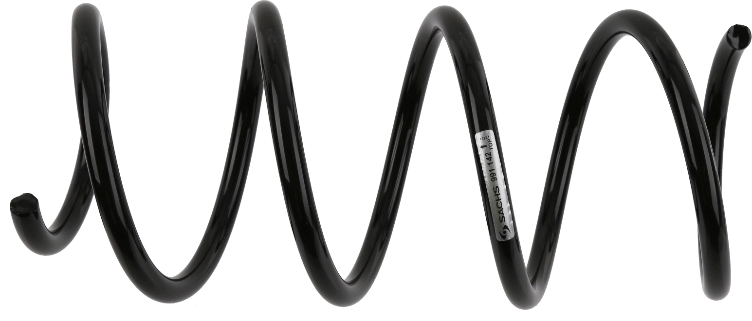 SACHS MOLLA ELICOIDALE