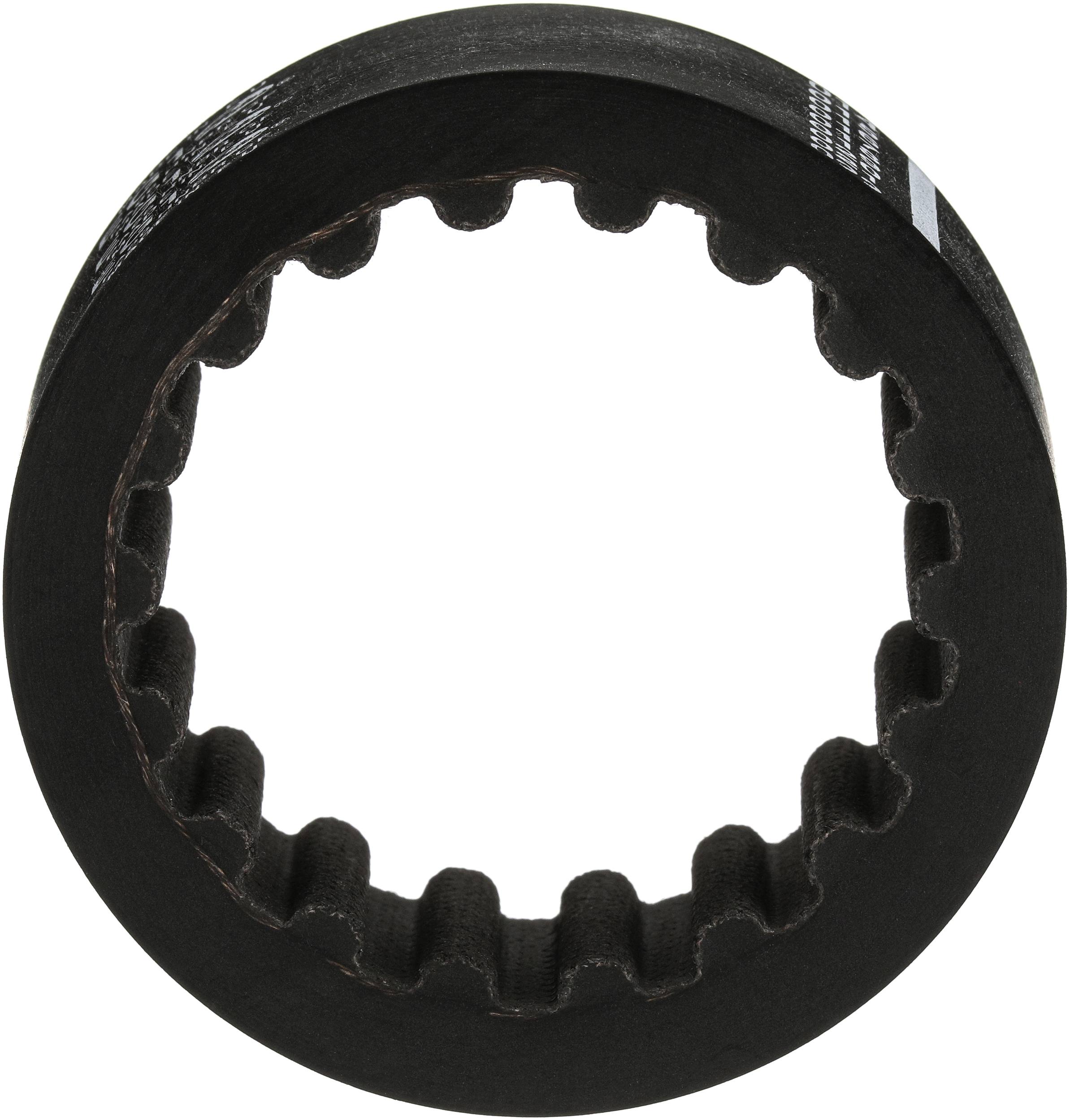 CINGHIA DISTRIBUZIONE GIUNTO 77MMX35MM