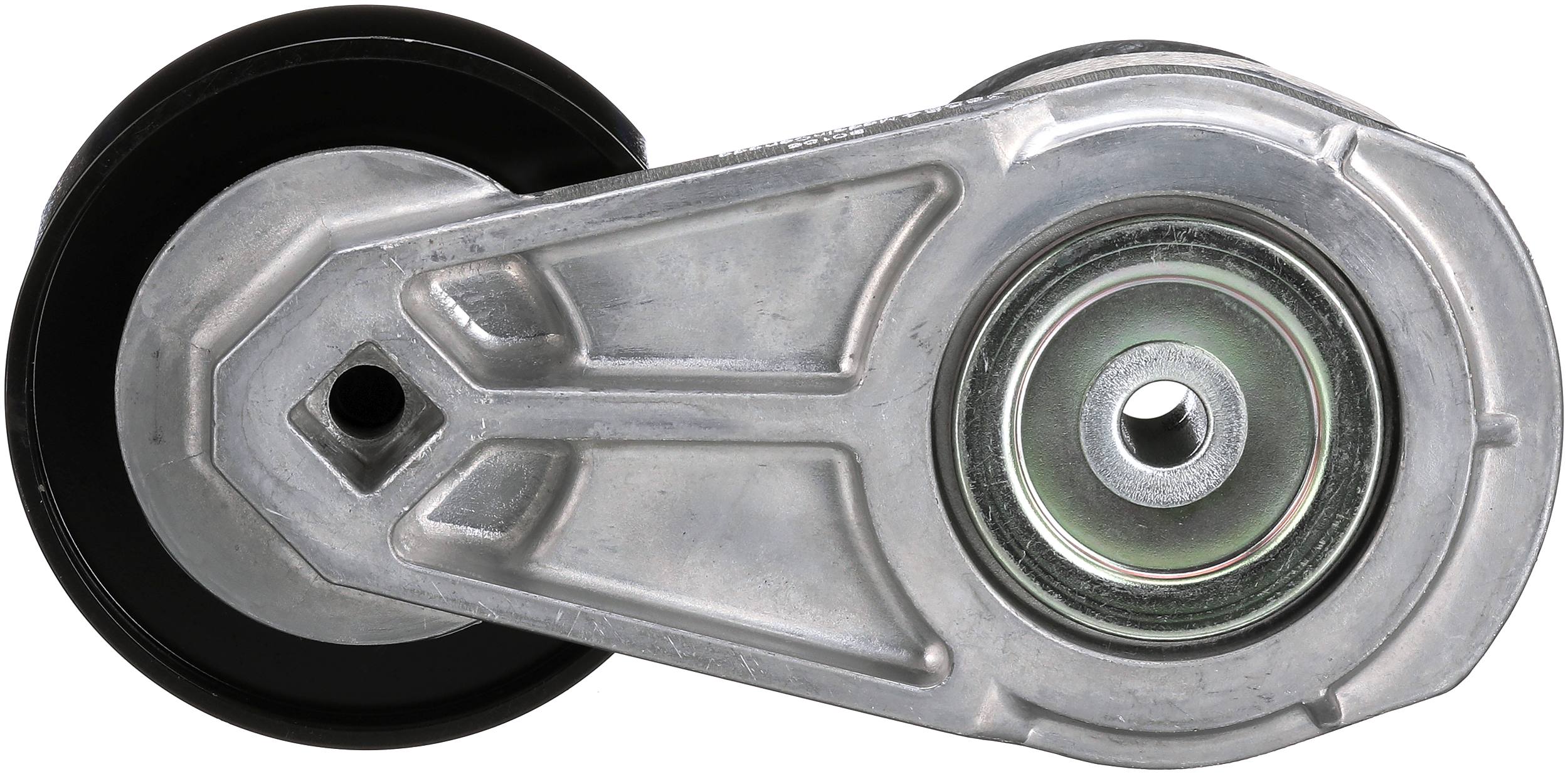 TENDICINGHIA, CINGHIA POLY-V