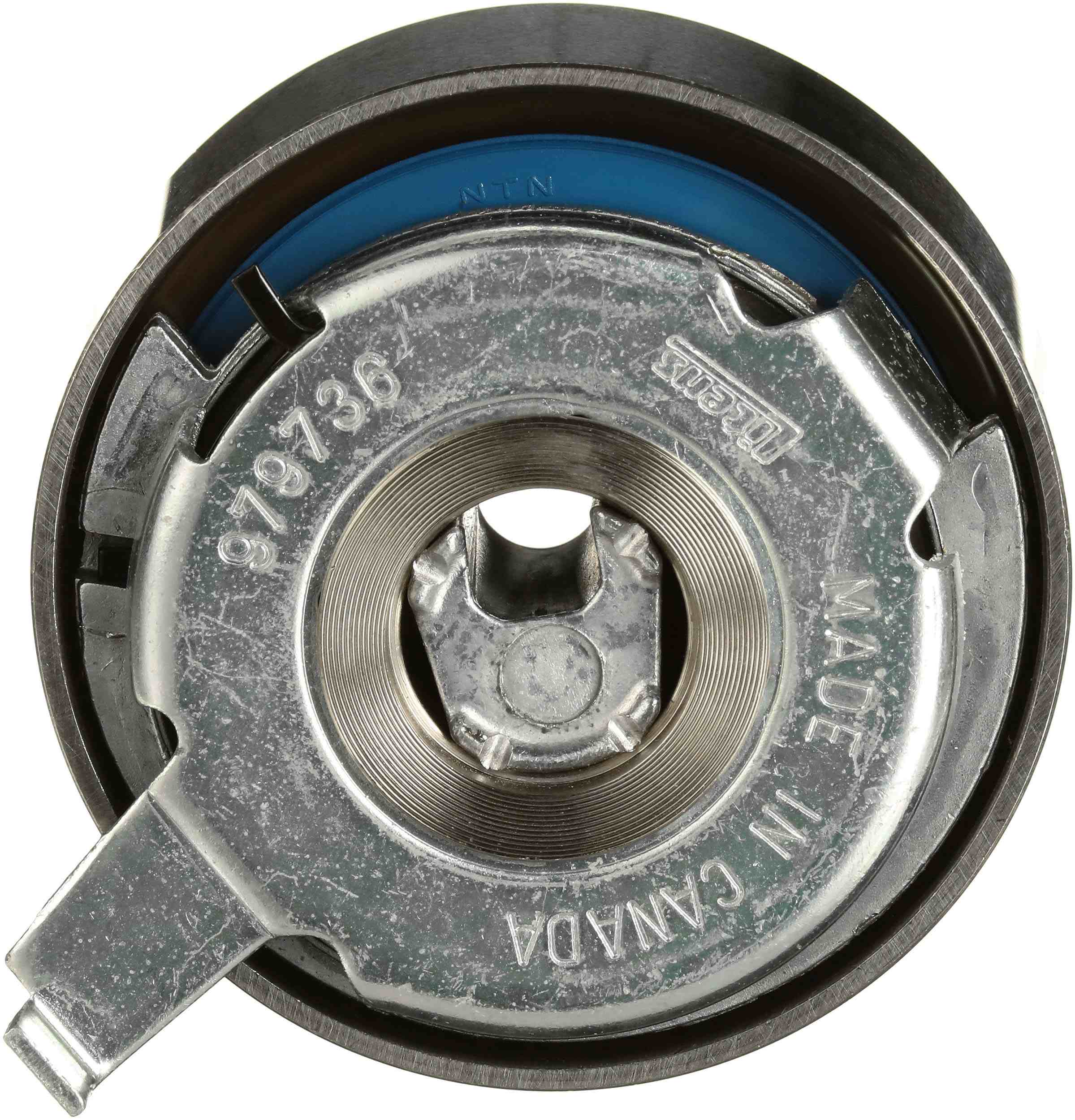 RULLO TENDITORE, CINGHIA DENTATA