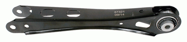 BRACCIO OSCILLANTE TRAPEZIO