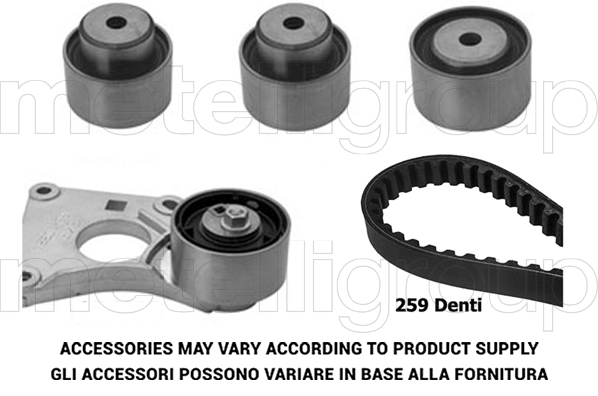 Kit cinghie dentate GRAF TP210
