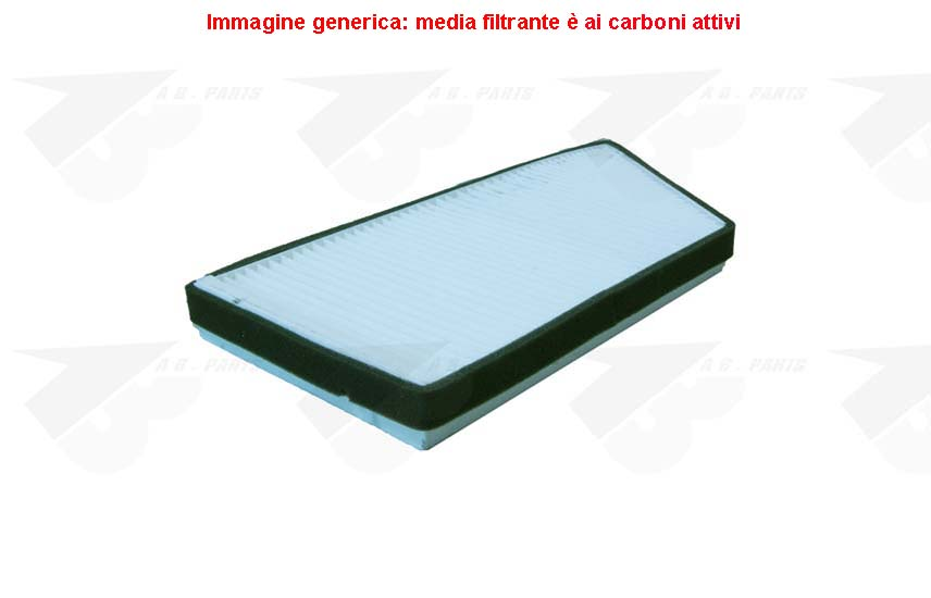 FILTRO Carboni PSA 206 98>