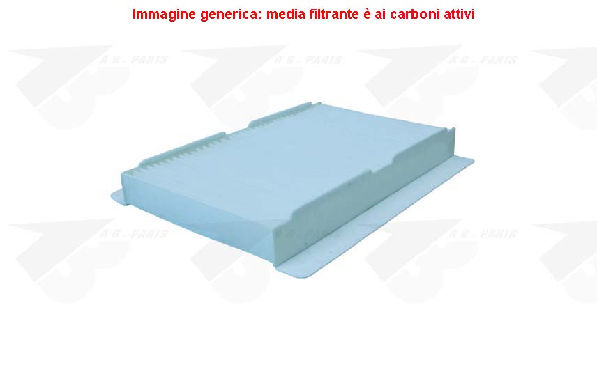 FILTRO Carboni PSA 307 01>