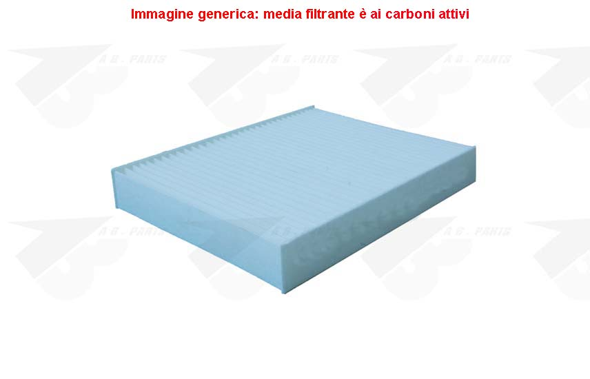 FILTRO Carboni FIESTA 02>