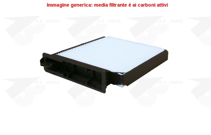 FILTRO Carboni CLIO 05>