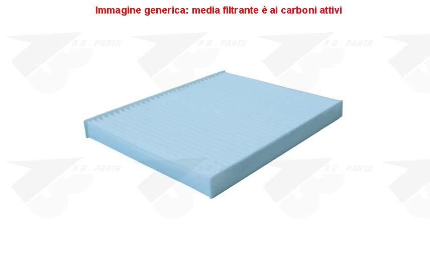 FILTRO Carboni FIESTA 08>