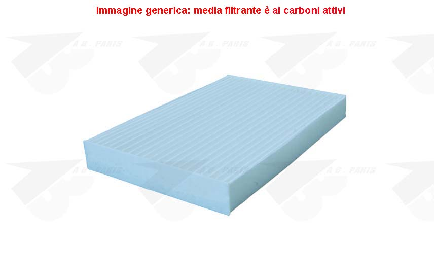 FILTRO Carboni CLIO 98>