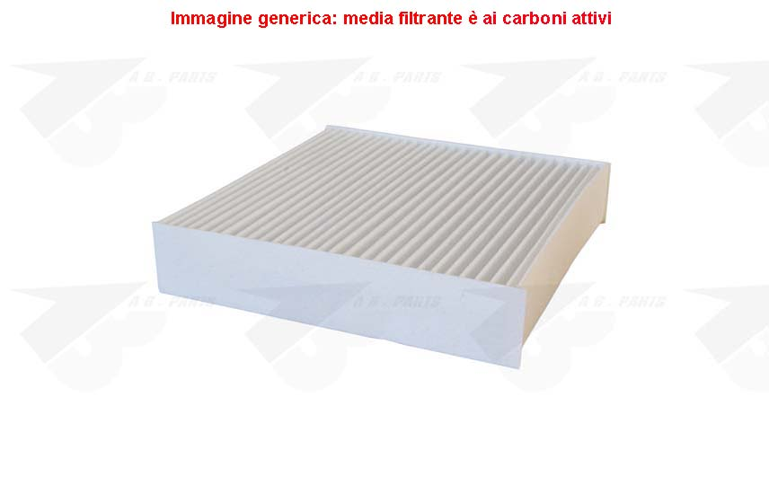 FILTRO Carboni FORTWO 04>