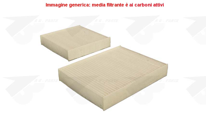 FILTRO Carboni PSA 207 06>